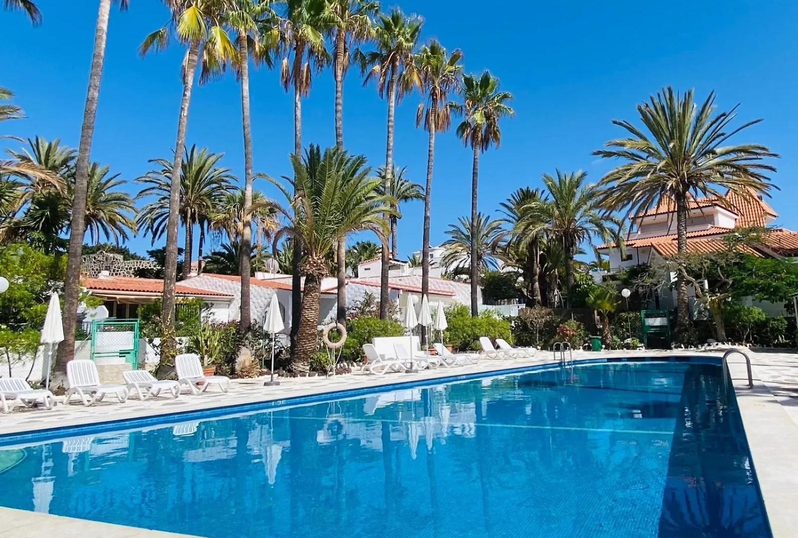 Calima House Apartment Chayofa