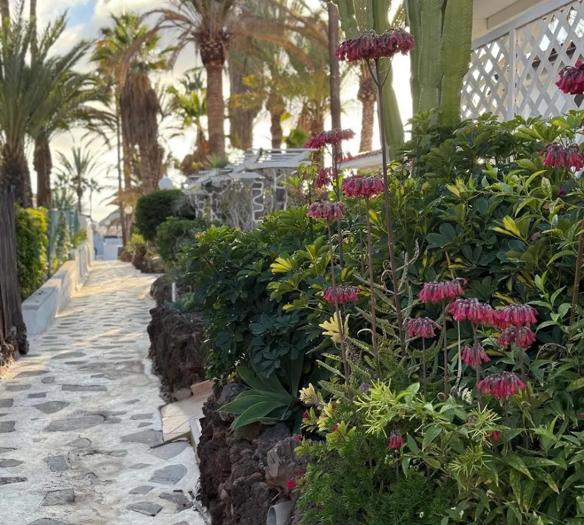 Calima House Apartment Chayofa