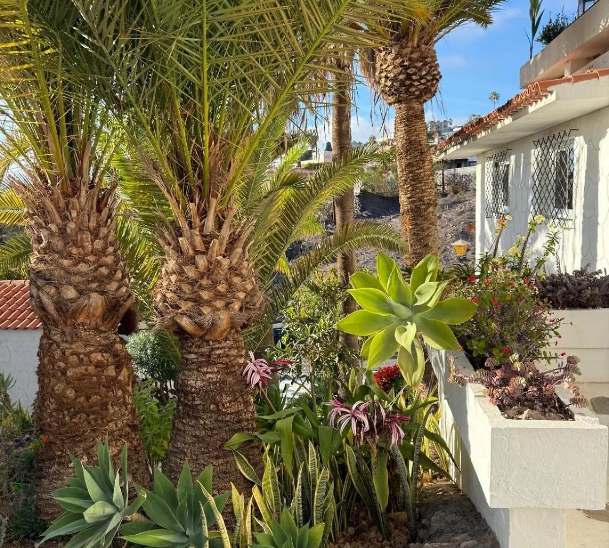 Calima House Apartment Chayofa Spain